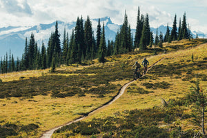 Six Percent - Picture by Margus Riga